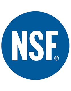 NSf Logo Vektör İndir