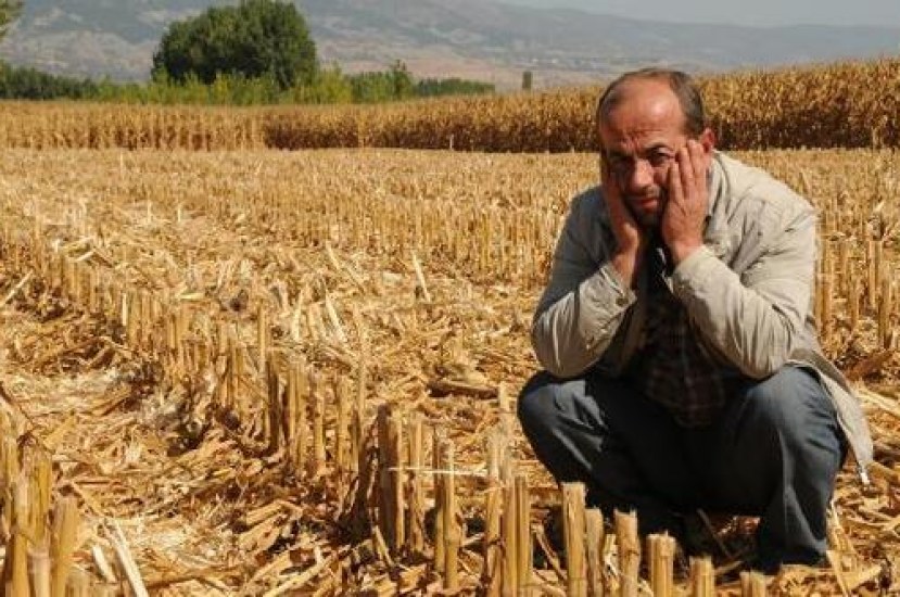 Toprak Bozulması ABD Mısır Çiftçilerine Her Yıl Yarım Milyar Dolara Mal Oluyor