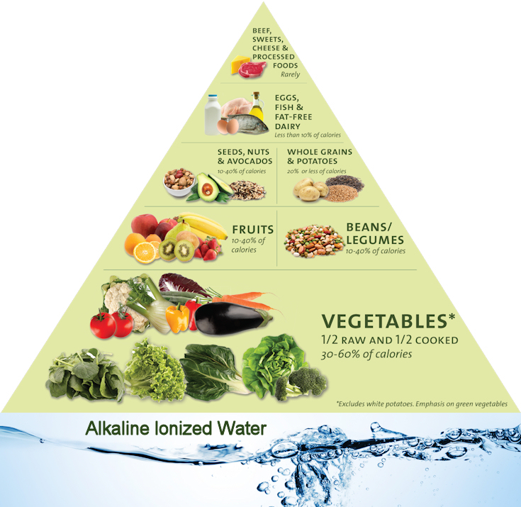 Gerçek Gıda Rehberi Piramidi, ana bileşen olarak taze yapraklı sebzelerin yanı sıra ana sıvı kaynağımız olarak su içeren bir Alkali Gıda Rehberi Piramididir.