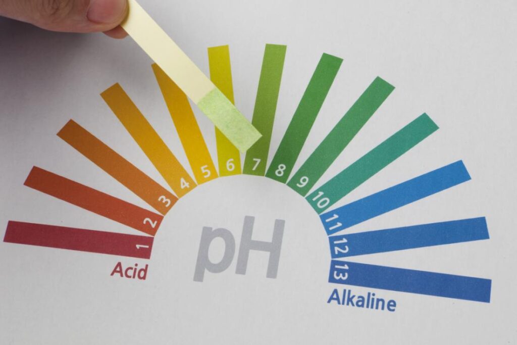 Suyun pH'ı 7 civarındadır, ancak bazı insanlar alkali su içmenin daha sağlıklı olabileceğini söylüyor. 